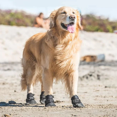 Zapatos outdoor negros ultra paws rugged