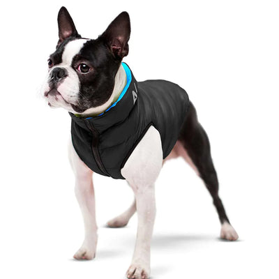 Chaqueta para perro airyvest azul / negro
