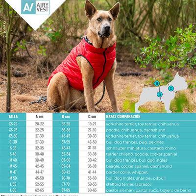Chaqueta perro airyvest rojo / negro