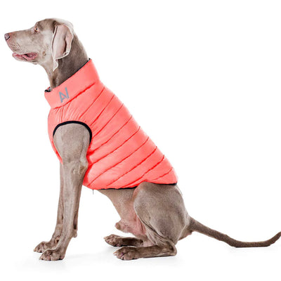 Chaqueta perro airyvest coral/gris