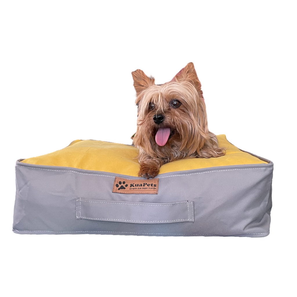 Cama para perro Kuapets amarillo - gris
