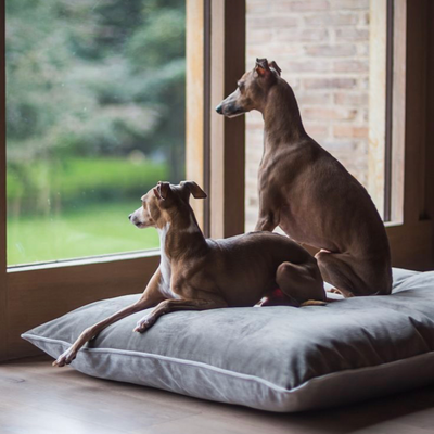 Cama para perro modelo owi kuapets – ligera, suave y cómoda